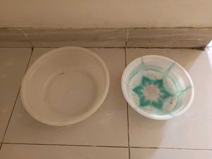 Set of 2 Plastic Basins