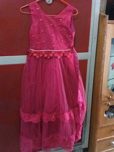 Fuchsia Embellished Net Gown