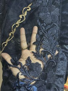 Elegant Embroidered Net Saree