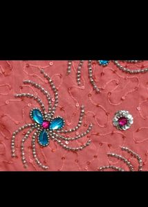 Beautiful Embellished Saree