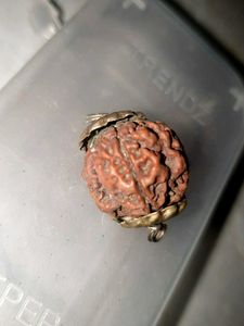 Natural Rudraksha Bead Pendant