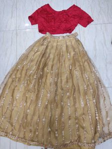 Red Blouse & Sequined Skirt Set