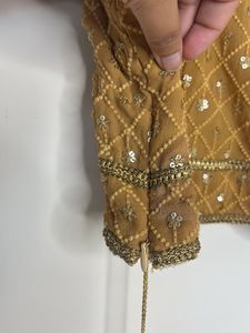 Embellished tan chikankri Blouse