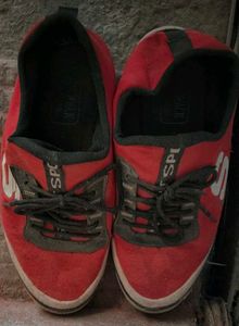 Shoe And Shoks