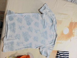 zara mens tees