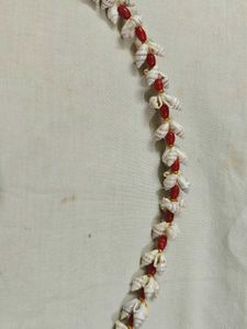Glass Beads Mini Shell Necklace