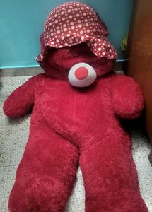 teddy bear used