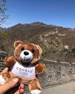 Rare vintage Conrad Hong Kong Hotel Teddy Bear
