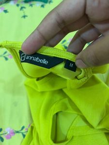 pantaloon Chic Lime Green Sheath Dress