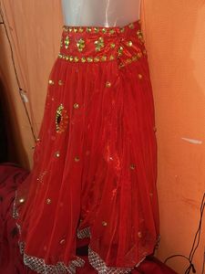 Stunning Red Embellished Skirt