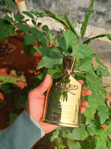Creed Millesime