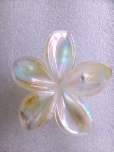 Flower Hair Clips Set  new