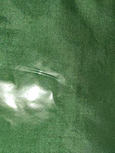 Elegant Green Saree with Zari Work