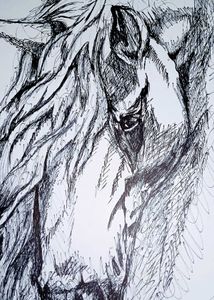 ✨Hand-Drawn Horse Sketch✨