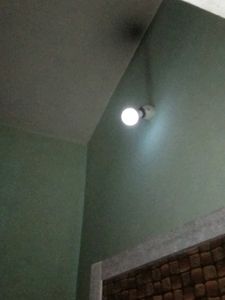 Working Night 💡 Bulb