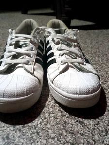 crisp white Sparx sneakers