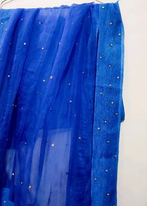 Beautiful Blue Net Dupatta