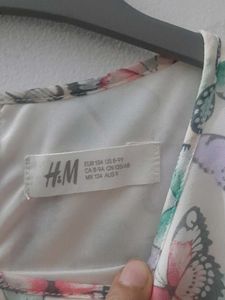 H&amp;M Butterfly print Pleated Dress