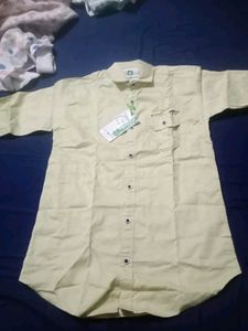 Men's Classic Light Yellow Shirt