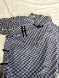 ✨SALE✨Blue Gingham Mandarin Collar dress