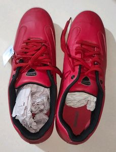 Ducati Unused Men Shoes