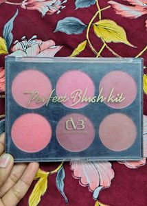 CVB Blush 🎀