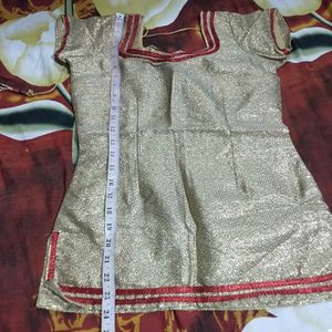 Gold Embroidered Lehenga Choli Set