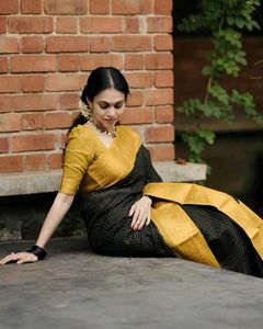 Elegant Black &amp; Gold Saree