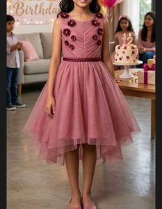Birthday Onion Pink net and satin dress