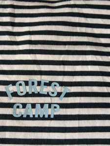 Striped Crew Neck T-Shirt
