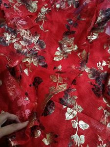 Red Floral crop top and long skirt