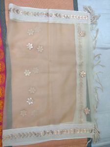 Organza Based Gotapatti Dupatta