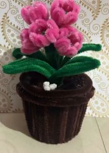 small flowers pot