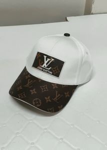 Louis Vuitton Inspired Cap