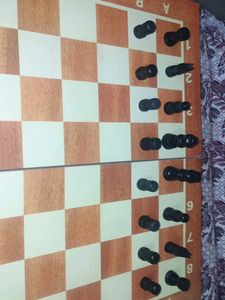 Foldable Wooden Chess