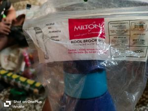 Milton Water Bottle