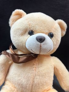 Cute Plush Teddy Bear