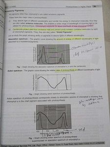 botany study material for neet