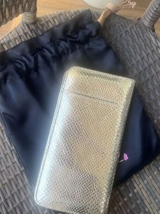 Classy Party Golden Clutch/Passport Holder