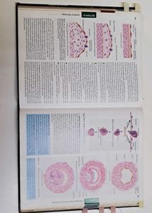 Textbook of Pathology, Harsh Mohan