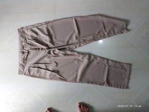Pleated Trousers