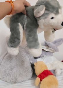 Bundle of Plush Toys (poh sold )