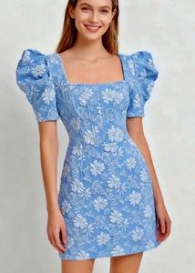 Brand New Baby Blue Floral Jacquard Dress