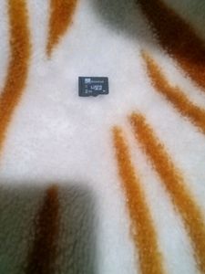 Micro SD Card "2GB"