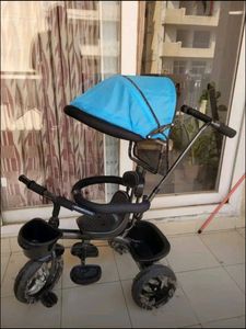 Baby Tricycle with Canopy
