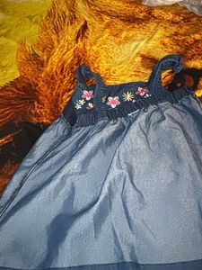 Cute Denim top with Floral Embroidery