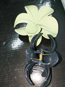 Beautiful Flower Hair Clips (Set of 2)