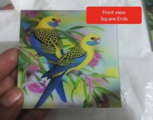 Bird Design 6 Coaster Set with Stand