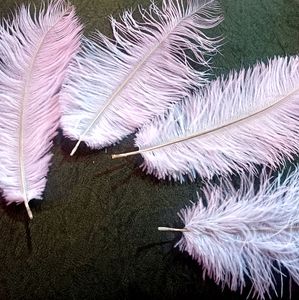 Feather For Nikkha Pen