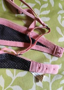Enamor Black Padded Underwired Push-up Bra